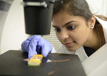 UB students performing research with a microscope